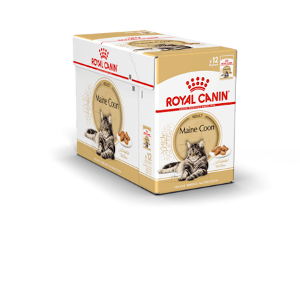 Royal Canin Cat Mainecoon 12x85gram